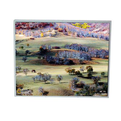 قیمت خوب صفحه نمایش LCD LM200WD1-TLA9 20.0 اینچ 1600*900 TFT آنلاین