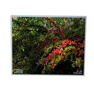 قیمت خوب LM201U1-A3 20.1 اینچ 1600*1200 ماژول صفحه نمایش LCD آنلاین