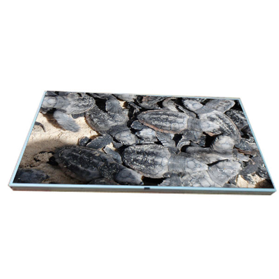 قیمت خوب LM215WF2-SLA1 اصلی در موجود است 21.5 اینچ صفحه نمایش LCD آنلاین