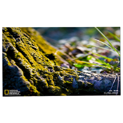 قیمت خوب LM238WF5-SSG4 23.8 صفحه نمایش لمسی LCD آنلاین