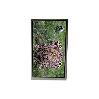 قیمت خوب BA050WV4-600 5.0 اینچ 480*800 صفحه LCD برای تلفن همراه آنلاین