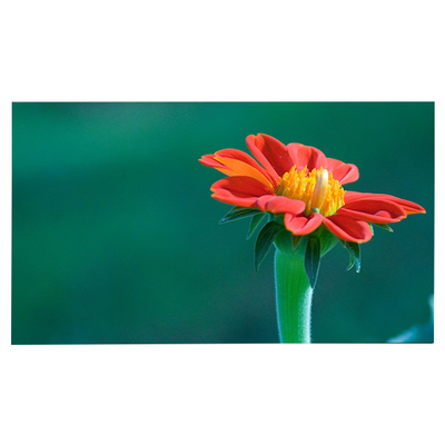 قیمت خوب LM315WR6-SSA2 LCD Display IPS برای دل U3223QE آنلاین