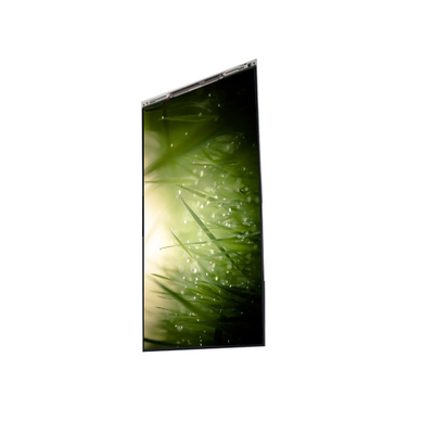 قیمت خوب BS055FHG-E41-6C00 5.5 اینچ صفحه نمایش LCD صفحه نمایش LCD پانل برای تلفن همراه آنلاین