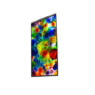 قیمت خوب BS060WKE-LB0-6Q00 6.0 اینچ صفحه نمایش LCD صفحه نمایش LCD پانل برای تلفن همراه آنلاین