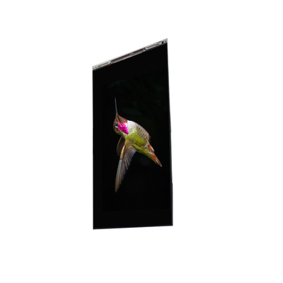 قیمت خوب BS062FBE-L30-6Q00 6.3 اینچ صفحه نمایش LCD صفحه نمایش LCD پانل برای تلفن همراه آنلاین