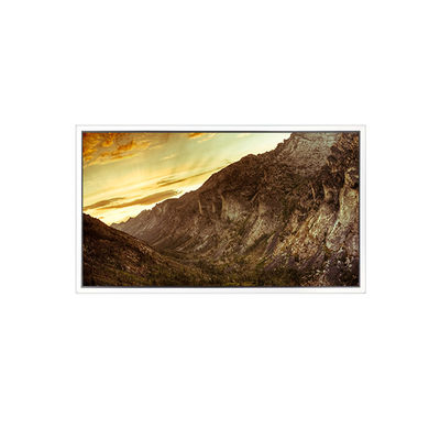 قیمت خوب 1920*1080 55 اینچ DV550FHM-NVC 1200: 1 صفحه LCD برای دیوار ویدیو آنلاین