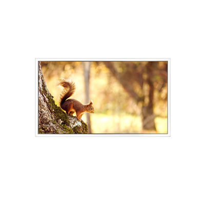 قیمت خوب NEW EV156FHB-N12-2HP0 1920*1080 15.6 اینچ صفحه LCD برای صنعتی آنلاین