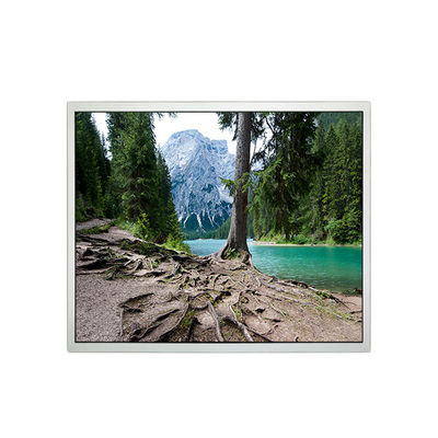 قیمت خوب 1280*1024 19.0 اینچ EV190E0M-N10 1000:1 صفحه نمایش LCD برای صنعتی آنلاین