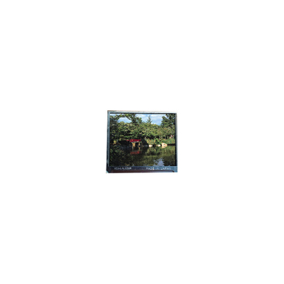 قیمت خوب صفحه نمایش LCD جدید HSD110HUW1-C00-N00 11.0 اینچ 1200*2000 آنلاین
