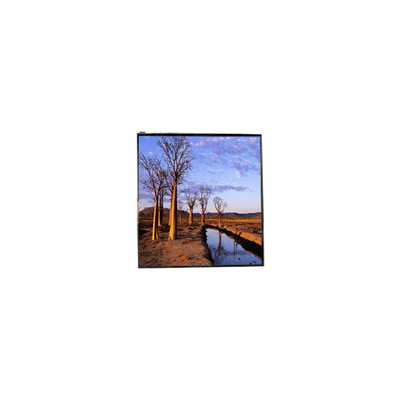 قیمت خوب LH500WX1-SH01 5.0 اینچ 800: 1 صفحه نمایش LCD آنلاین