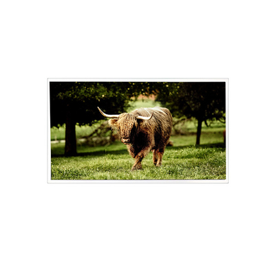 قیمت خوب 20.1inch TDA201-001V03 1600*1200 900 cd/m2 صفحه نمایش LCD LVDS آنلاین