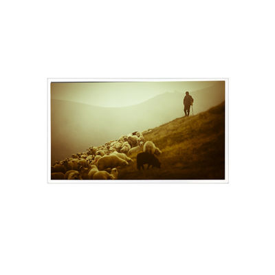 قیمت خوب QV140FHM-N48 14.0 اینچ 1920*1080 800:1 60Hz eDP 30 پین صفحه LCD آنلاین