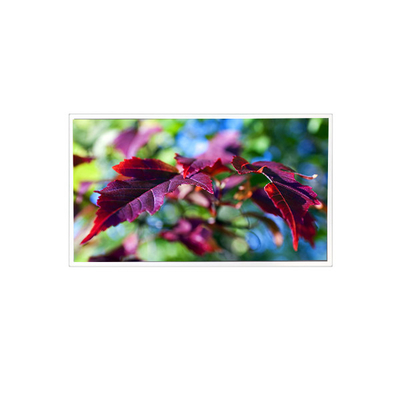 قیمت خوب TV116FHM-N00 1920*1080 11.6 اینچ 60 هرتز 40 پین صفحه نمایش LCD آنلاین