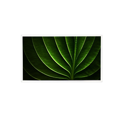 قیمت خوب TAD201-001 20.1 اینچ 1600*1200 450 cd/m2 صفحه نمایش LCD 60 هرتز برای صنعتی آنلاین