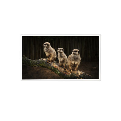 قیمت خوب RV150U0M-NI0 1600*1200 15.0 اینچ صفحه نمایش صفحه نمایش LCD آنلاین