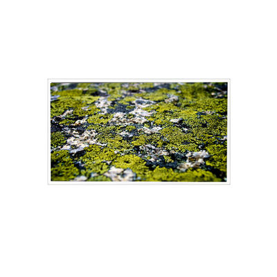 قیمت خوب 10.4 اینچ RV104X0M-N00 1024 * 768 صفحه LCD برای صنعتی آنلاین