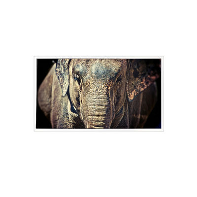 قیمت خوب VL-FS-7HD 1280 * 768 7.0 اینچ صفحه نمایش LCD برای نمایش خودرو آنلاین