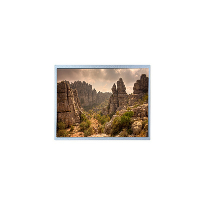 قیمت خوب 1024*768 G121XGN-L01 12.1 اینچ صفحه نمایش LCD برای صنعتی آنلاین