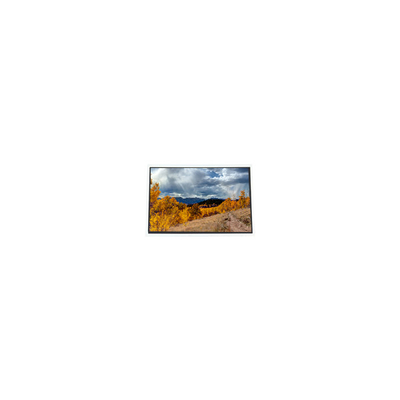 قیمت خوب A070STN01.1 1024*600 7.0 اینچ صفحه LCD 60 هرتز برای UMPC متوسط آنلاین