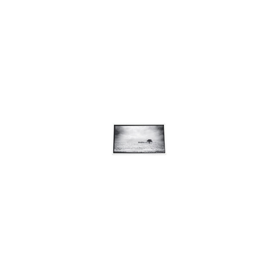 قیمت خوب صفحه نمایش LCD 640*480 3.5 اینچ PD035VX1 262K برای پروژکتور آنلاین