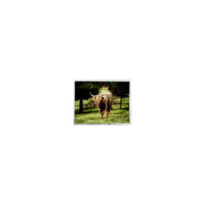 قیمت خوب PD064VL1 640*480 6.4 اینچ LVDS 20 پین ماژول صفحه نمایش LCD آنلاین