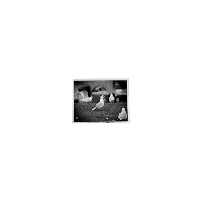 قیمت خوب PD064VT2 6.4 اینچ 640*480 150 cd/m2 صفحه نمایش LCD آنلاین