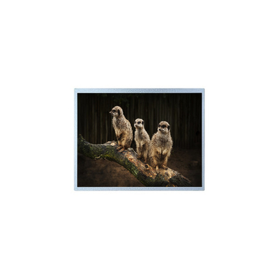 قیمت خوب PD121XL2 1024 * 768 12.1 اینچ صفحه نمایش LCD برای درخشندگی بالا در فضای باز آنلاین