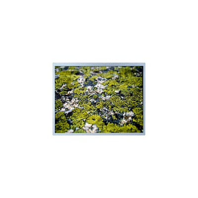 قیمت خوب 1024*768 12.1 اینچ PD121XL9 4S6P WLED 60Hz صفحه نمایش LCD آنلاین