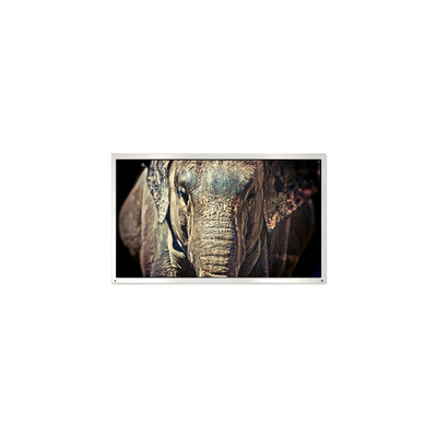 قیمت خوب PE040QX1 مینی 4.0 اینچ 320*240 1000:1 30 پین صفحه نمایش LCD آنلاین