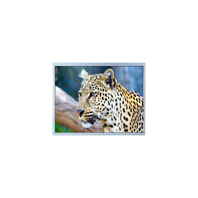 قیمت خوب 400*234 6.5 اینچ PW065XS4 صفحه LCD برای قاب عکس دیجیتال آنلاین