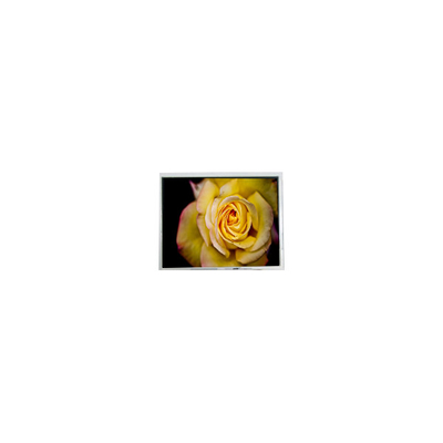 قیمت خوب صفحه نمایش LCD جدید 5.7 اینچی AM-320240NTMQW-00H-F 320*240 آنلاین