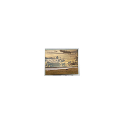 قیمت خوب صفحه اصلی 640*480 5.7 اینچ AM-640480GSTMQW-T00H صفحه LCD لمسی آنلاین