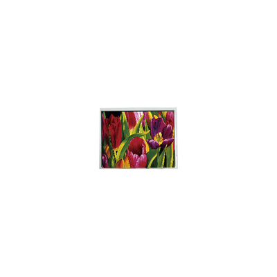 قیمت خوب AM-800480LATMQW-TN0H-L 800*480 5.0 اینچ 3S6P پانل LCD WLED آنلاین
