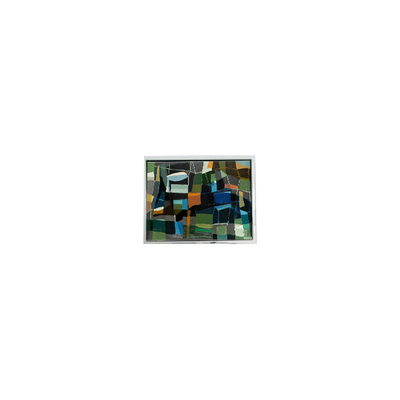 قیمت خوب MiNi 5.0 اینچ AM-800480LTMQW-00H 800*480 صفحه LCD برای آمپر آنلاین