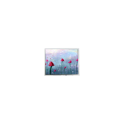 قیمت خوب AM-800480LTMQW-TW1H 5.0 اینچ 800*480 صفحه نمایش LCD لمسی آنلاین