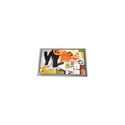 قیمت خوب فروش گرم 800*600 AM-800600M4TMQW-13H صفحه نمایش LCD آنلاین