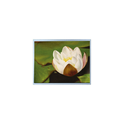 قیمت خوب AM-1024768M2TMQW-T06H 1024*768 10.4 اینچ PCAP قطعات صفحه LCD TFT آنلاین