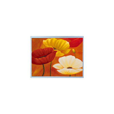 قیمت خوب AM-1024768QTMQW-00H 15.0 اینچ 1024*768 20 پین صفحه نمایش LCD TFT آنلاین