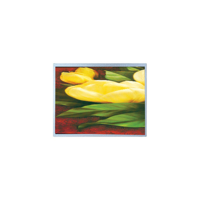 قیمت خوب فروش داغ 12.1 اینچ AM-1024768R2TNQW-T00H 1024*768 صفحه LCD TFT آنلاین