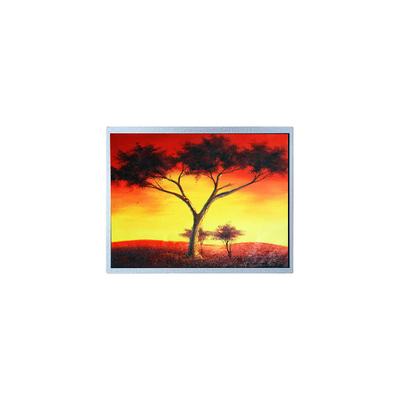 قیمت خوب AM-1024768Z6TZQW-00H 1024*768 12.1 اینچ 1300 cd/m2 صفحه LCD TFT آنلاین