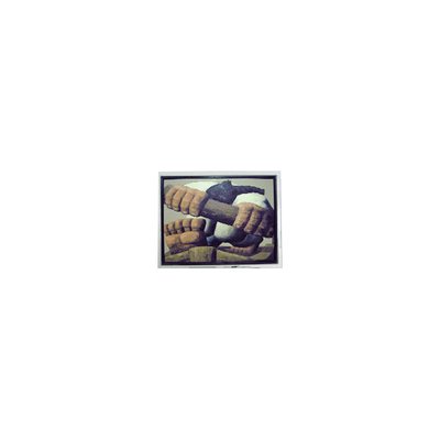 قیمت خوب DMF5010NBU-FW پانل صفحه نمایش LCD ۵٫۲ اینچ ۷۰ هرتز آنلاین