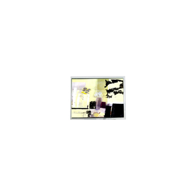 قیمت خوب DMF50260NFU-FW-8 9.4 اینچ صفحه نمایش LCD 640*480 برای OPTREX آنلاین