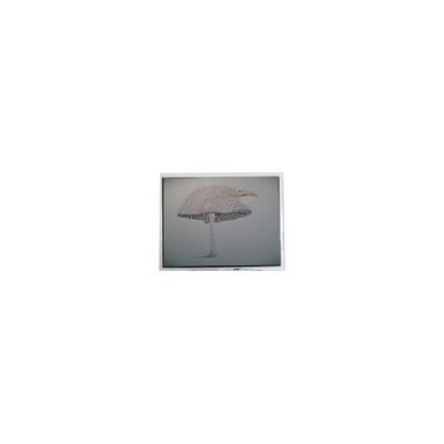 قیمت خوب 9.4 اینچ DMF-51043NFU-FW 640*480 صفحه نمایش LCD پانل آنلاین