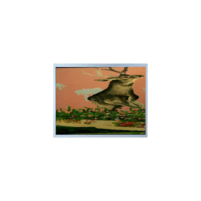 قیمت خوب 15.0 اینچ T-51863D150J-FW-A-AE 1024*768 LVDS مانیتور LCD صنعتی آنلاین