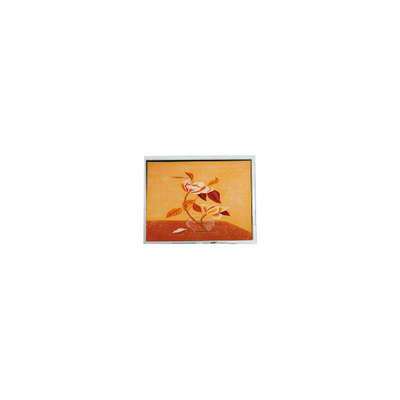 قیمت خوب T-55225D104J-FW-A-AAN 10.4 اینچ 1024*768 ماژول صفحه نمایش LCD آنلاین