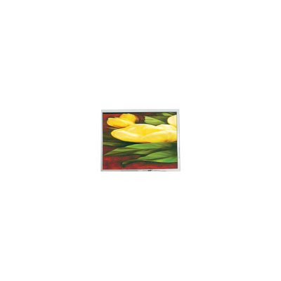 قیمت خوب NEW 5.7 اینچ T-55265GD057J-LW-ABN 320*240 33 پین صفحه LCD آنلاین