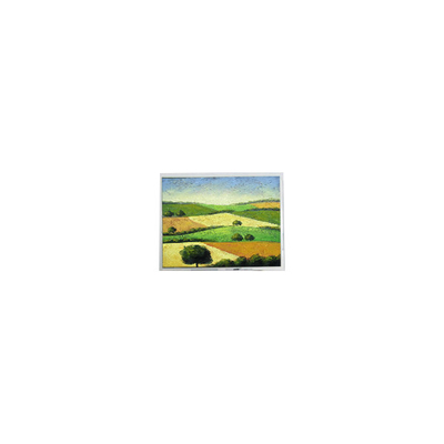 قیمت خوب صفحه نمایش LCD جدید 14.1 اینچی T-55313D141J-FW-A-AEN 1280*800 آنلاین