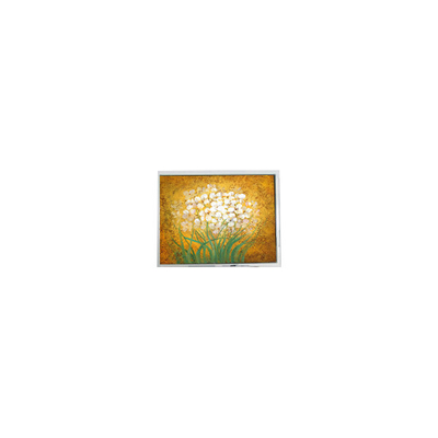 قیمت خوب 19.0 اینچ T-55699D190J-LW-A-AAN پانل LCD برای درخشندگی بالا در فضای باز آنلاین