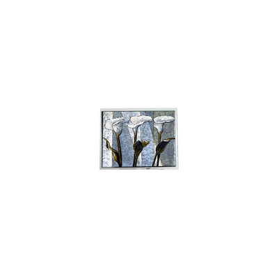 قیمت خوب 800*480 T-55785GD070J-LW-ADN 7.0 اینچ 262K صفحه نمایش LCD آنلاین