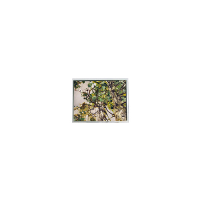 قیمت خوب CLAA070LFA6 CW 7.0 اینچ 800*480 صفحه LCD برای خودرو آنلاین